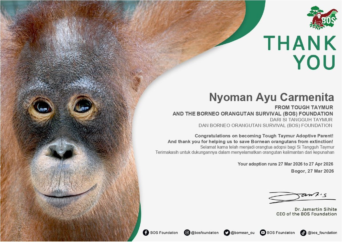 sal🕺🏻 tweet media