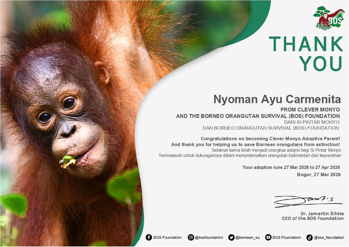 sal🕺🏻 tweet media