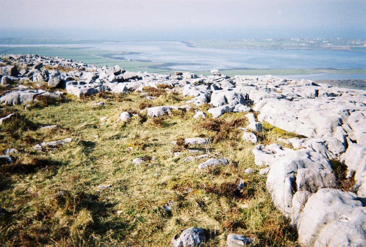 Yumi Mihara tweet media