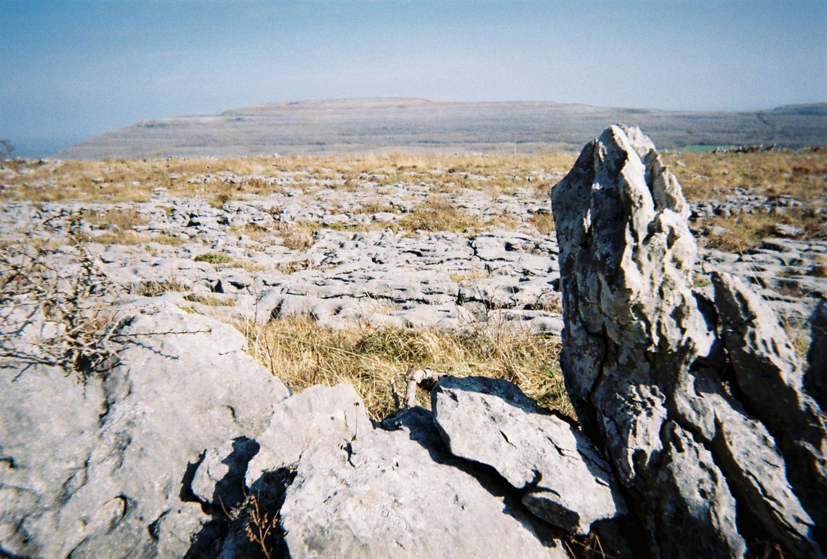 Yumi Mihara tweet media