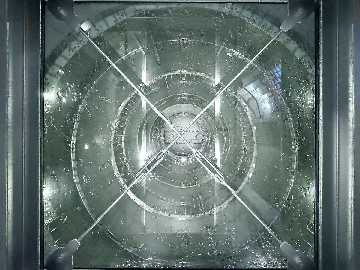 𝚎𝚟𝙴 tweet media