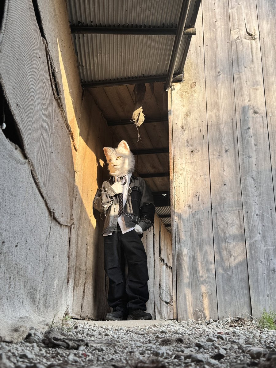 カル -Kar- tweet media