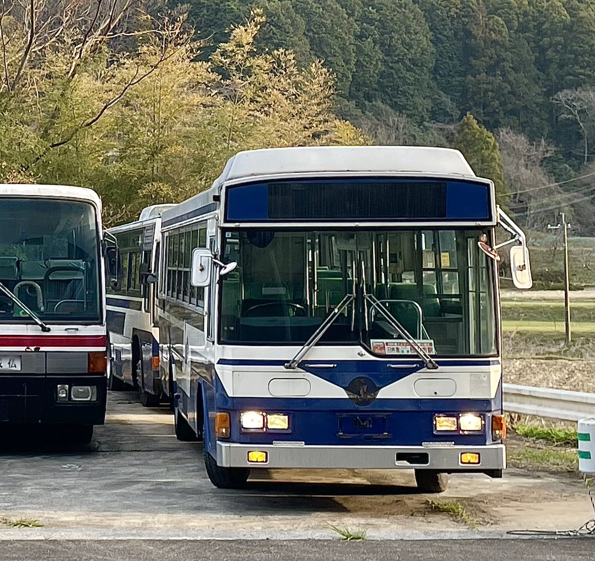 くまもん＠秘密司令本部 tweet media