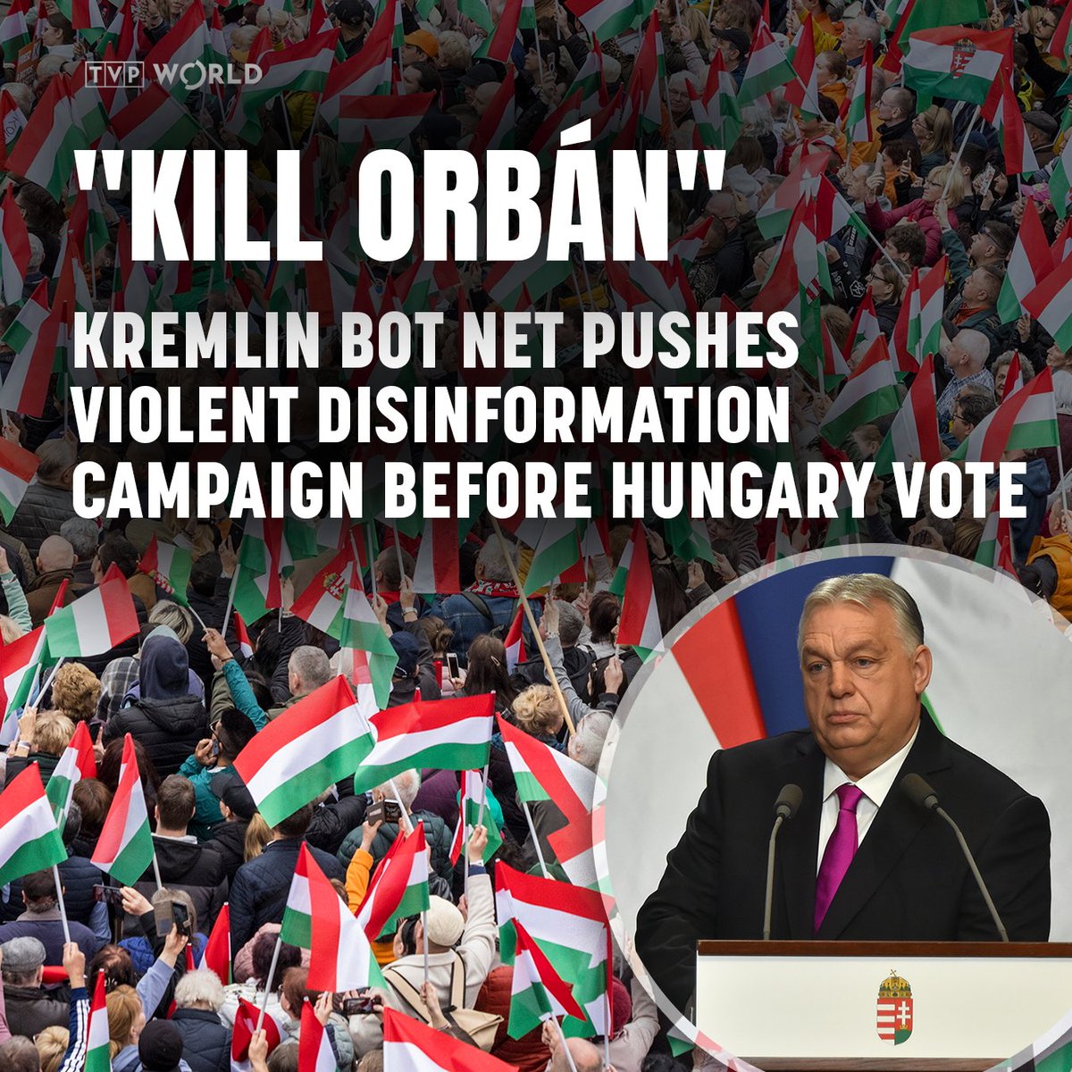 TVP World tweet media