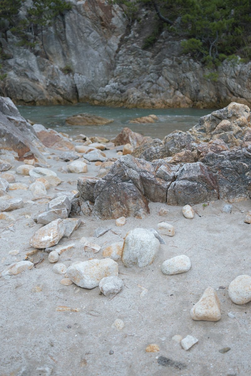 ヤスダ彩 tweet media