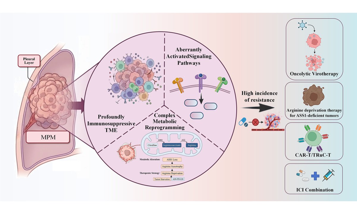 Cancer Drug Resistance tweet media