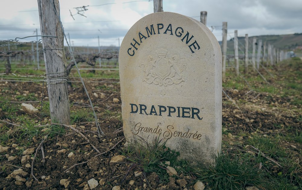 Jamie Goode tweet media