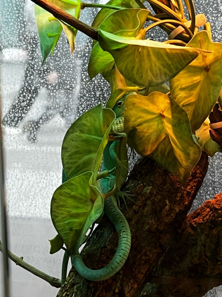 Marta S. tweet media