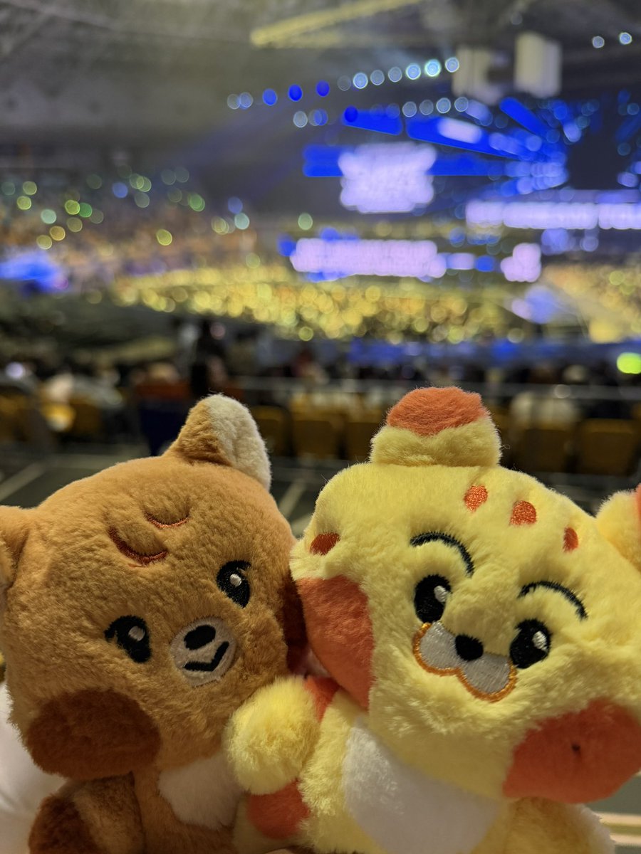 chai ୧( ˙Ⱉ˙⠕)୨ tweet media