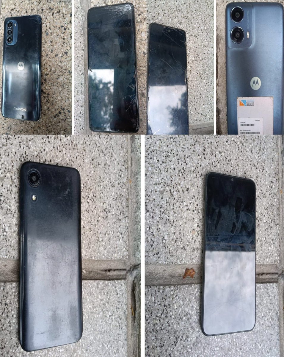 Pampa Monaco tweet media