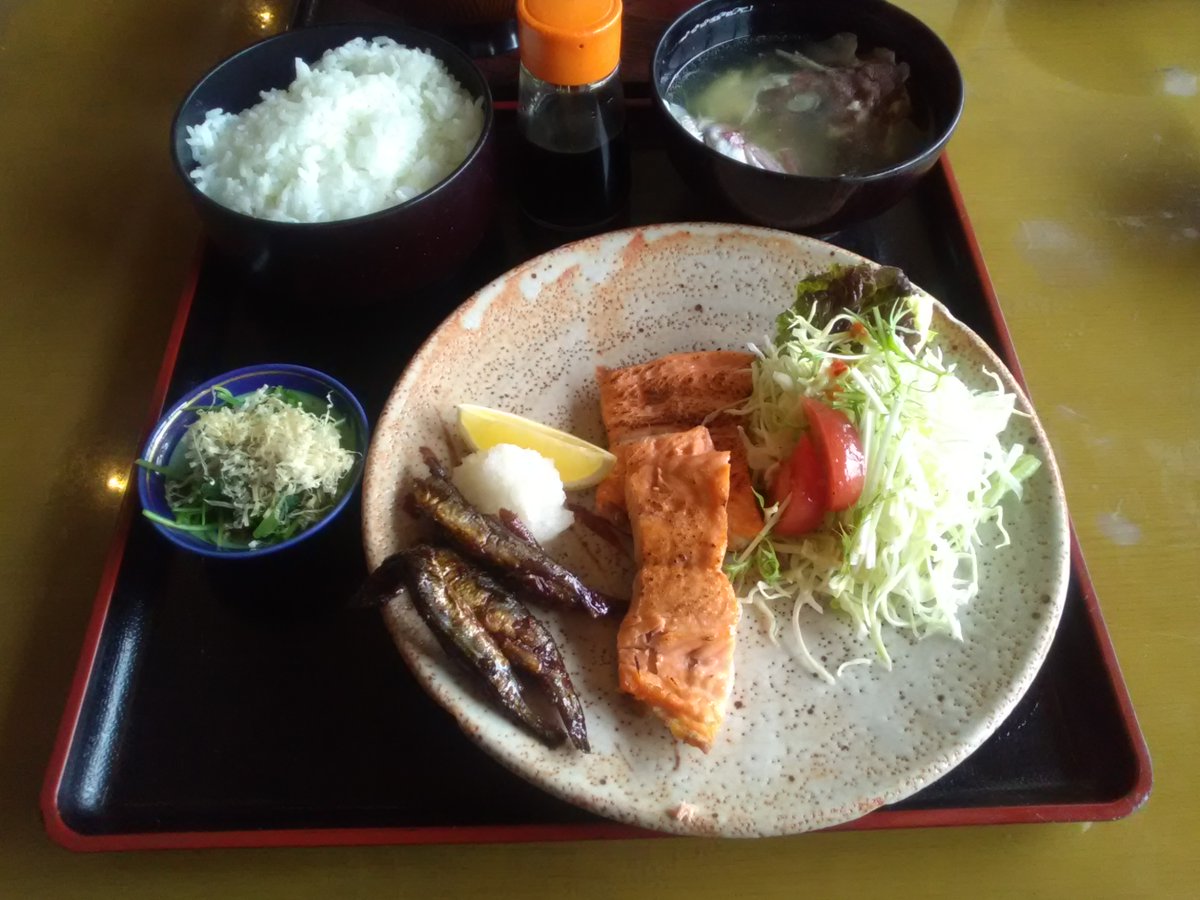 炬燵の中の猫 tweet media