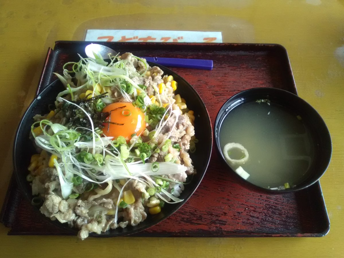 炬燵の中の猫 tweet media