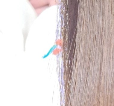 残姉ちゃん@𝐇𝐀𝐋 tweet media