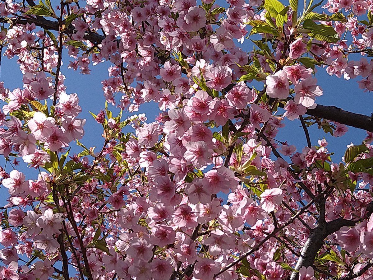 あっこ tweet media