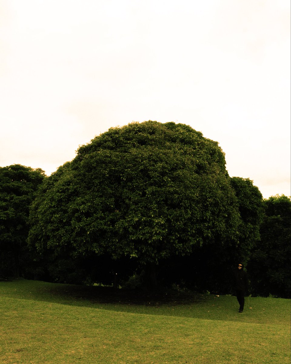 Andika Surya tweet media