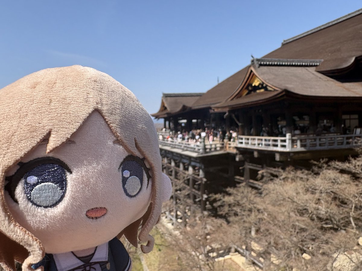 cube_きゅーぶ tweet media