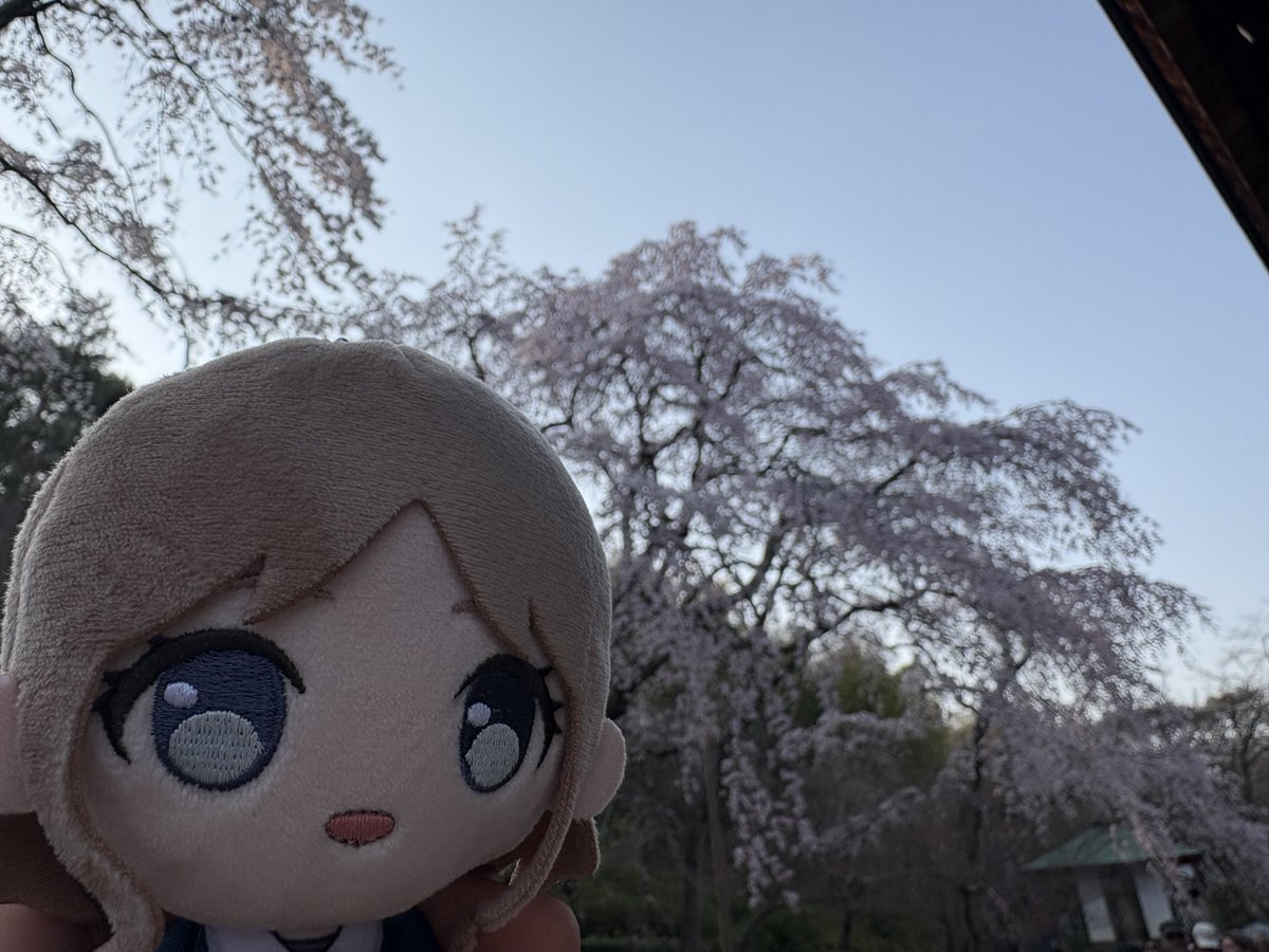 cube_きゅーぶ tweet media