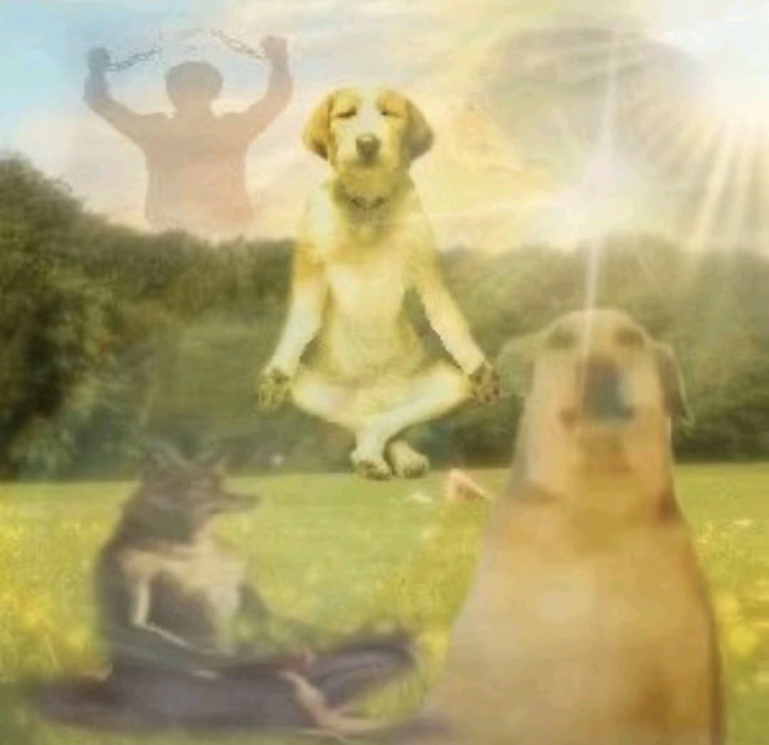 sadок 🇺🇦 ⁷ ARIRANG 🪭 tweet media