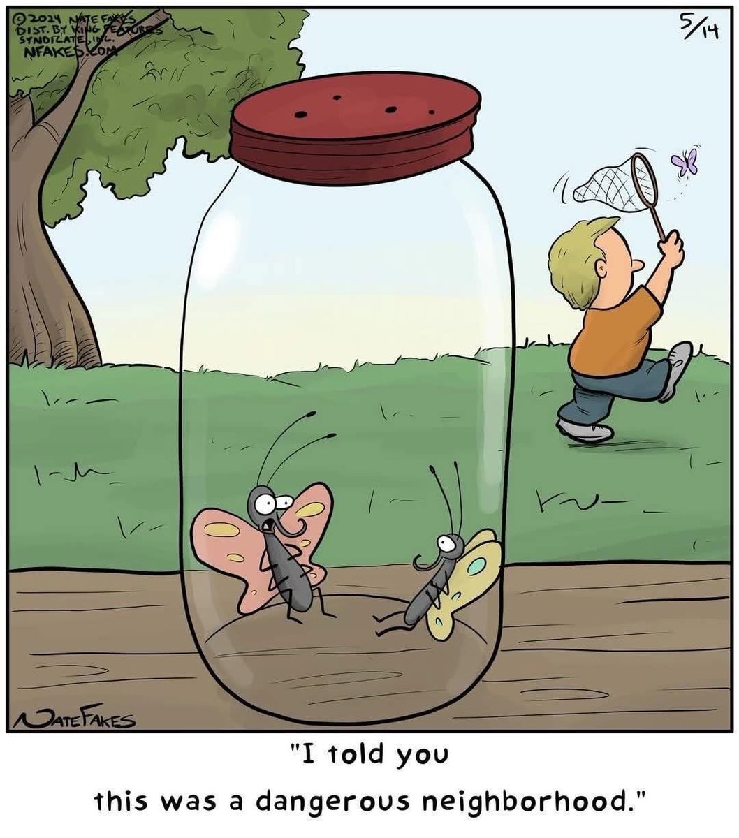 the garden gnome tweet media