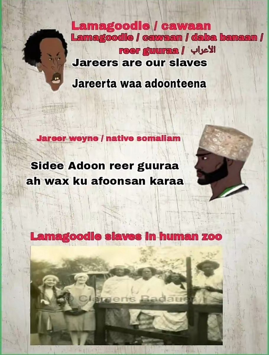 Professor Bantu tweet media