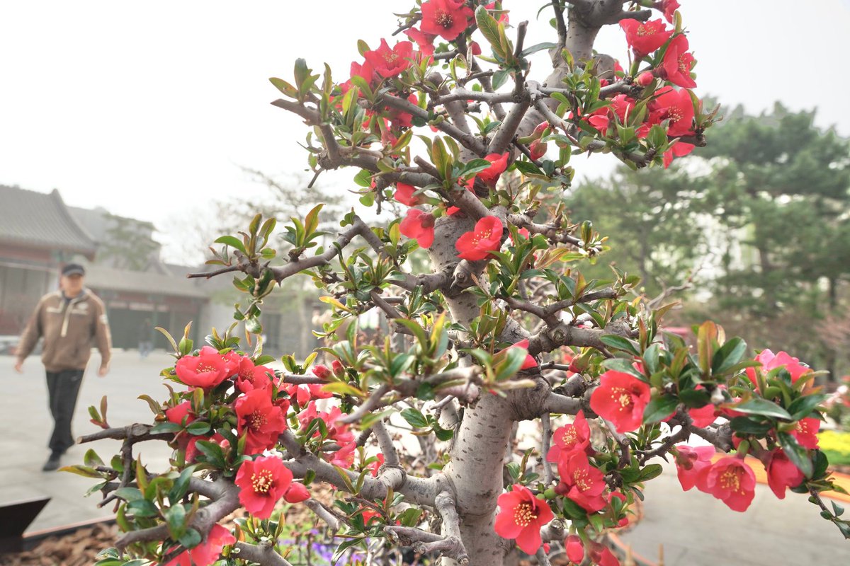 Touch Beijing tweet media