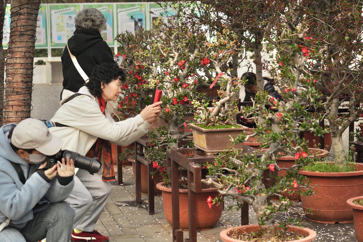 Touch Beijing tweet media