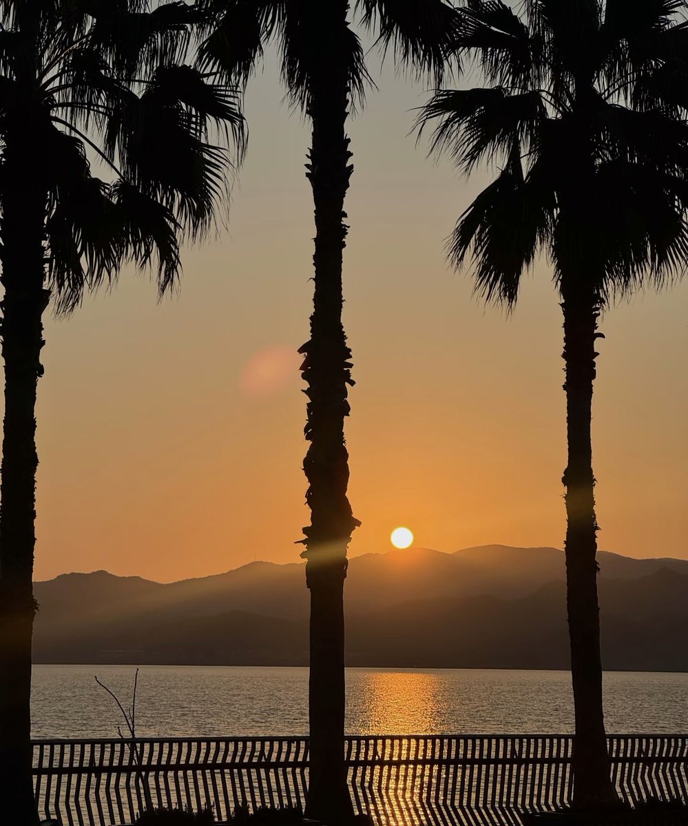 LOYAL路遥 tweet media