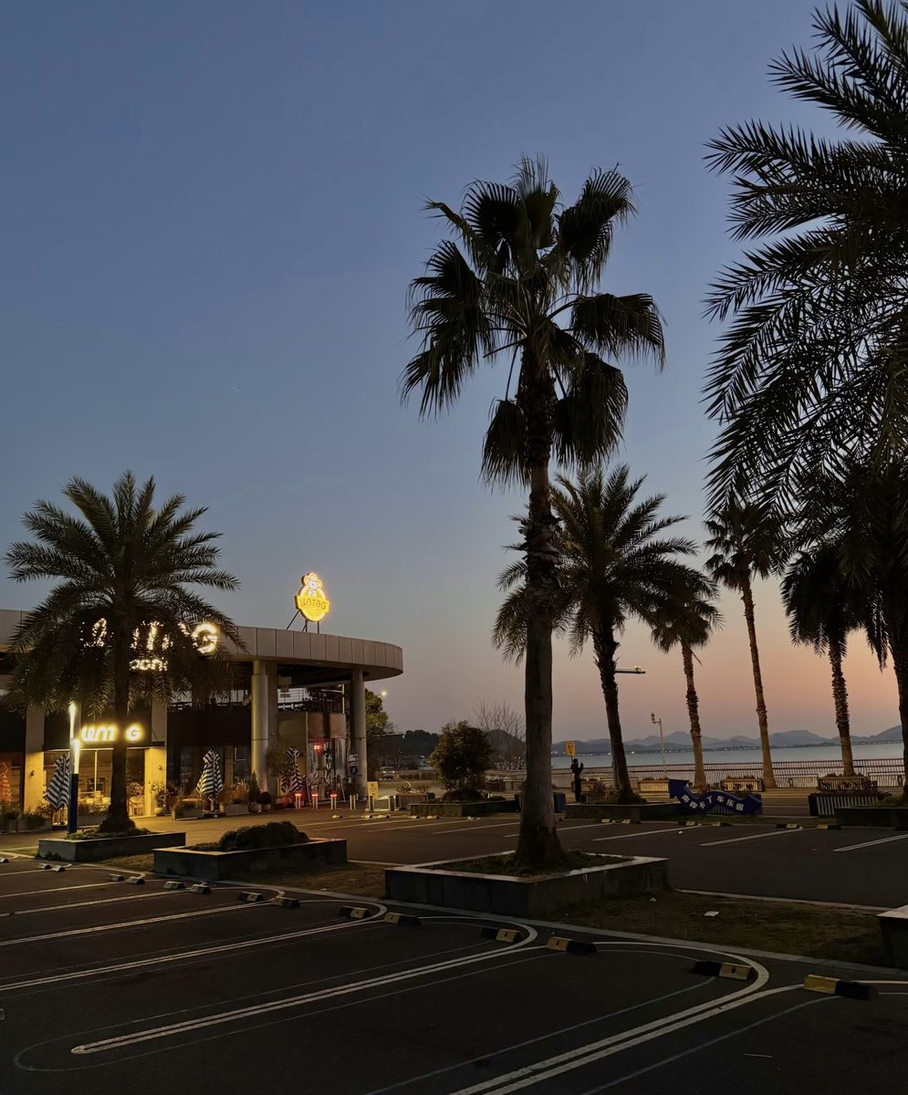 LOYAL路遥 tweet media