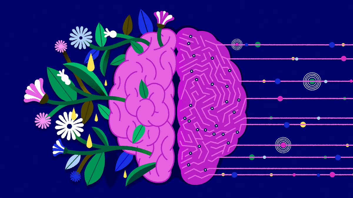 Ryan Wright tweet media