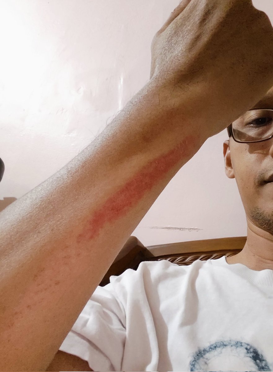 вяιѕιηgя! tweet media