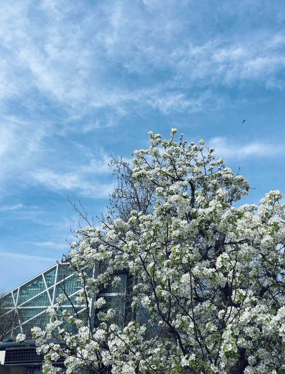 苏老师S 上海女王 上海女S tweet media