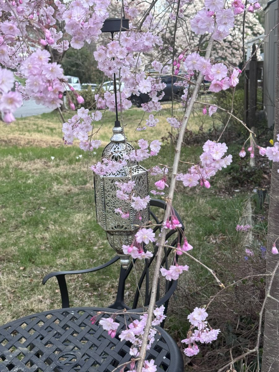 Captain Super Mom tweet media