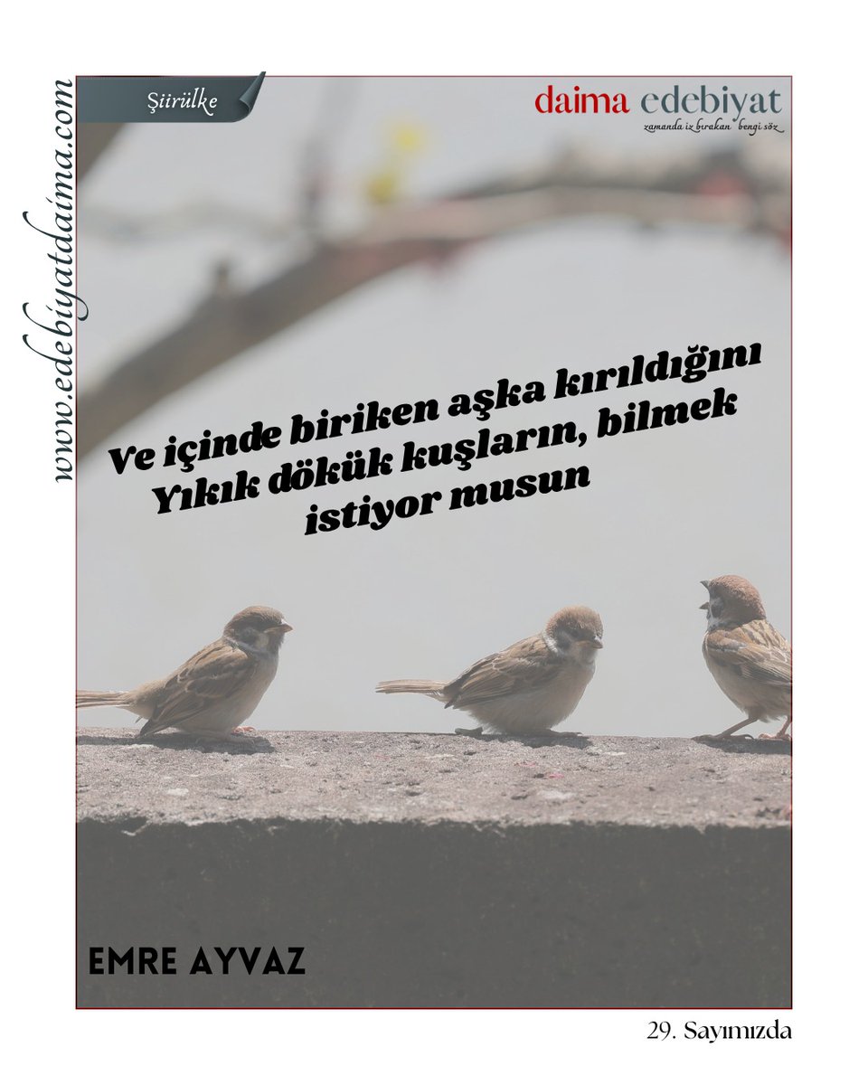 Daima Edebiyat • Kültür, Sanat, Edebiyat Dergisi tweet media