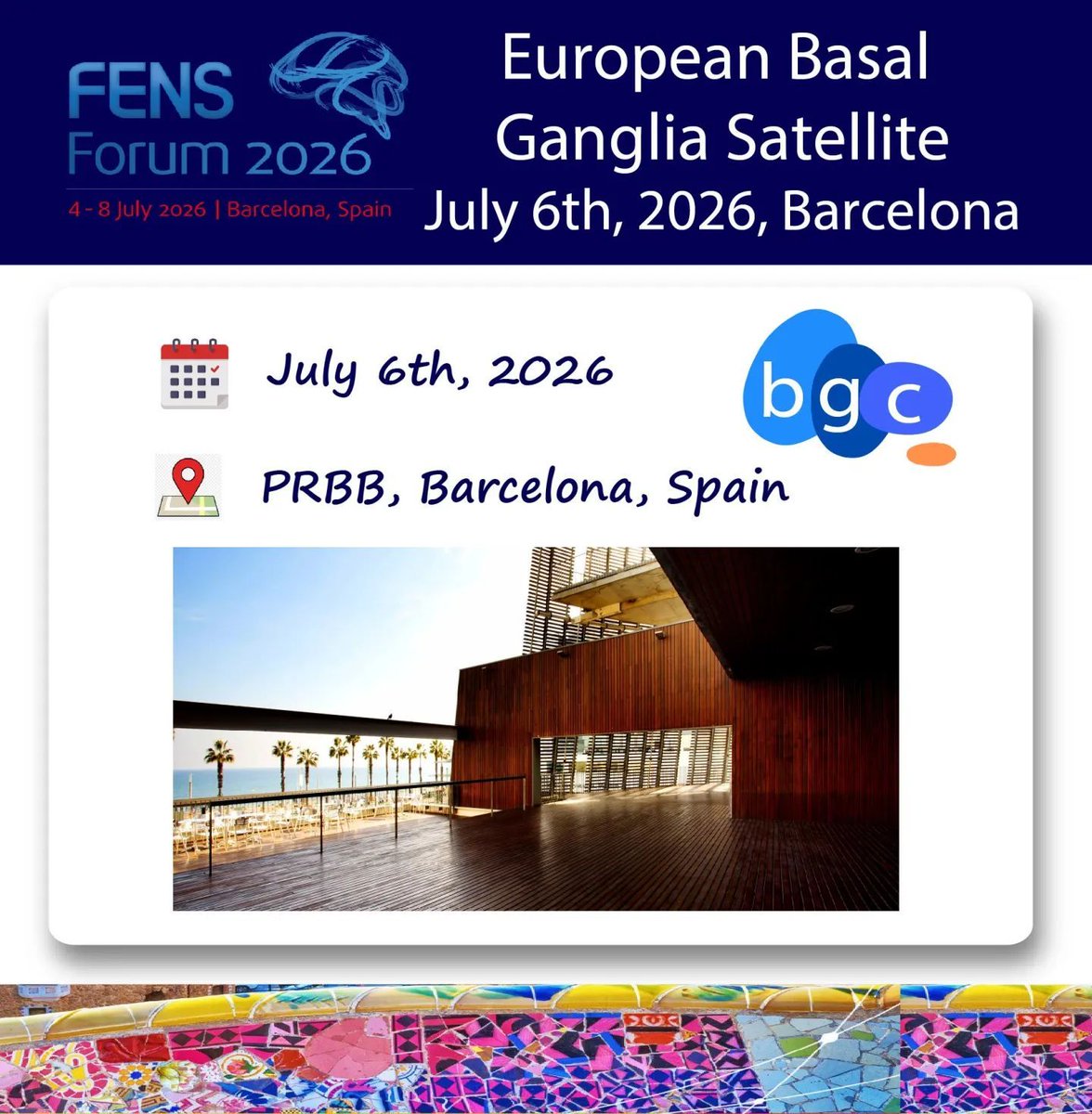 SENC_'s tweet photo. 🧠 Registration is now open for the 1st European Basal Ganglia Conference, a satellite event of #FENS2026.

International speakers, selected talks, poster session and students/PIs speed dating.

📅 July 6, 2026
📍 PRBB, Barcelona

🔗 https://t.co/tx0QGFS8Or

#BasalGanglia https://t.co/89f5IloYkH