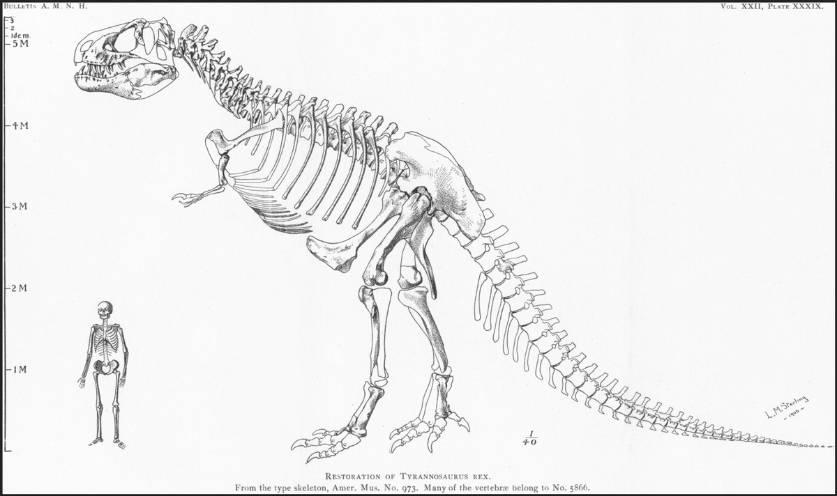 冠龍 諸々を執筆中（遅） tweet media