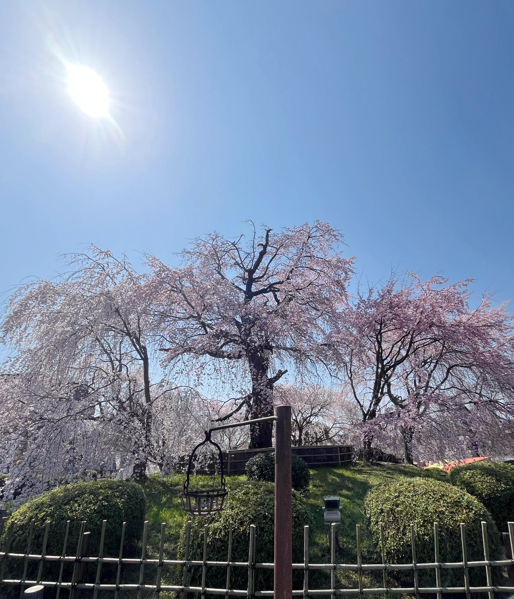 yotchan👑🐃 🎯 🍃 C+R🥜4/14🌾5/10⚓7/14.15 tweet media