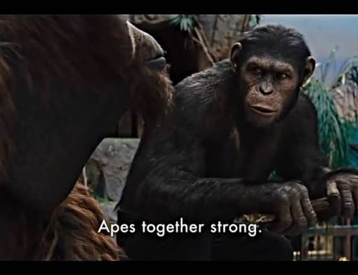 Tristen McReynolds tweet media