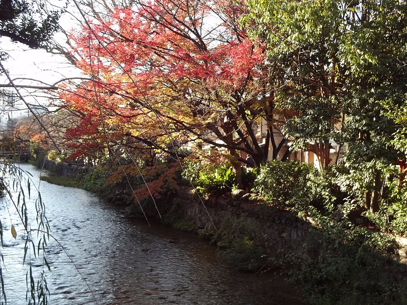 ๐๐ ๐๐๐๐๐ tweet media