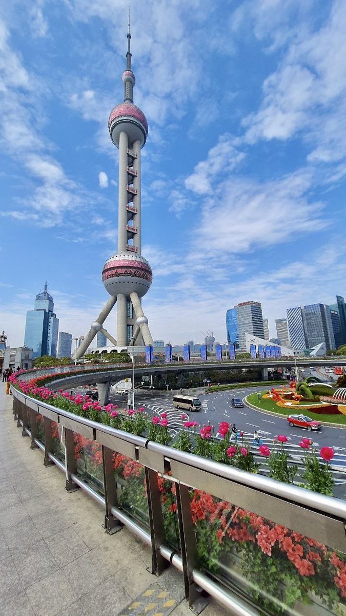 Svinella Cheburek tweet media