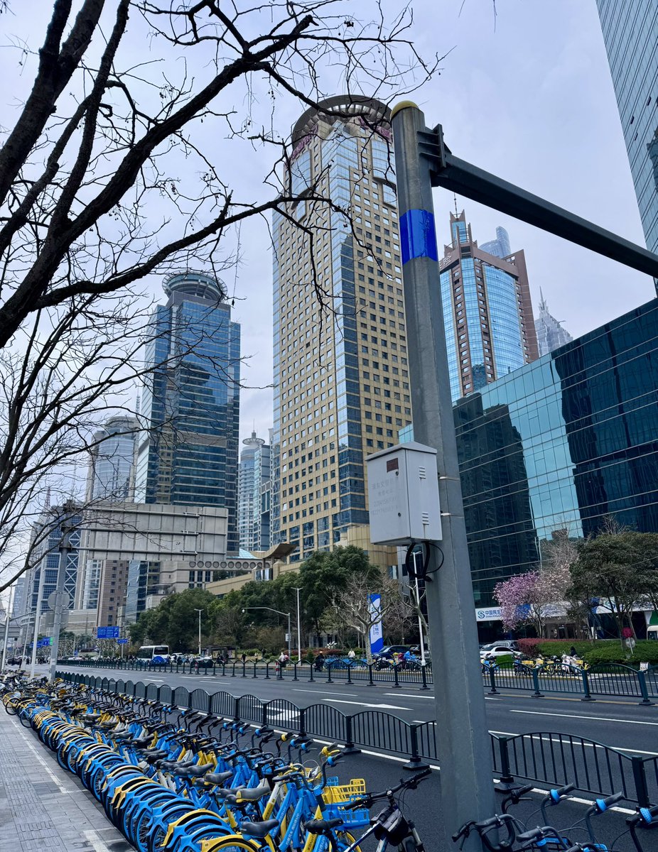 Svinella Cheburek tweet media