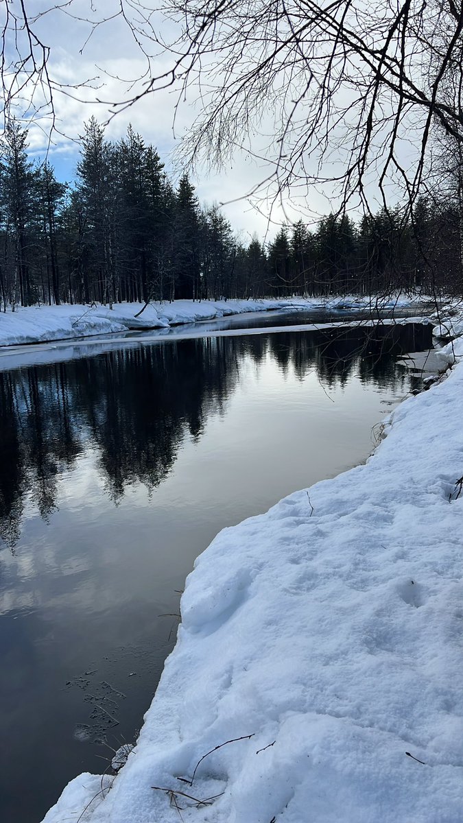 Hindrik Vriesinga🚜🐄🐷🐥 tweet media