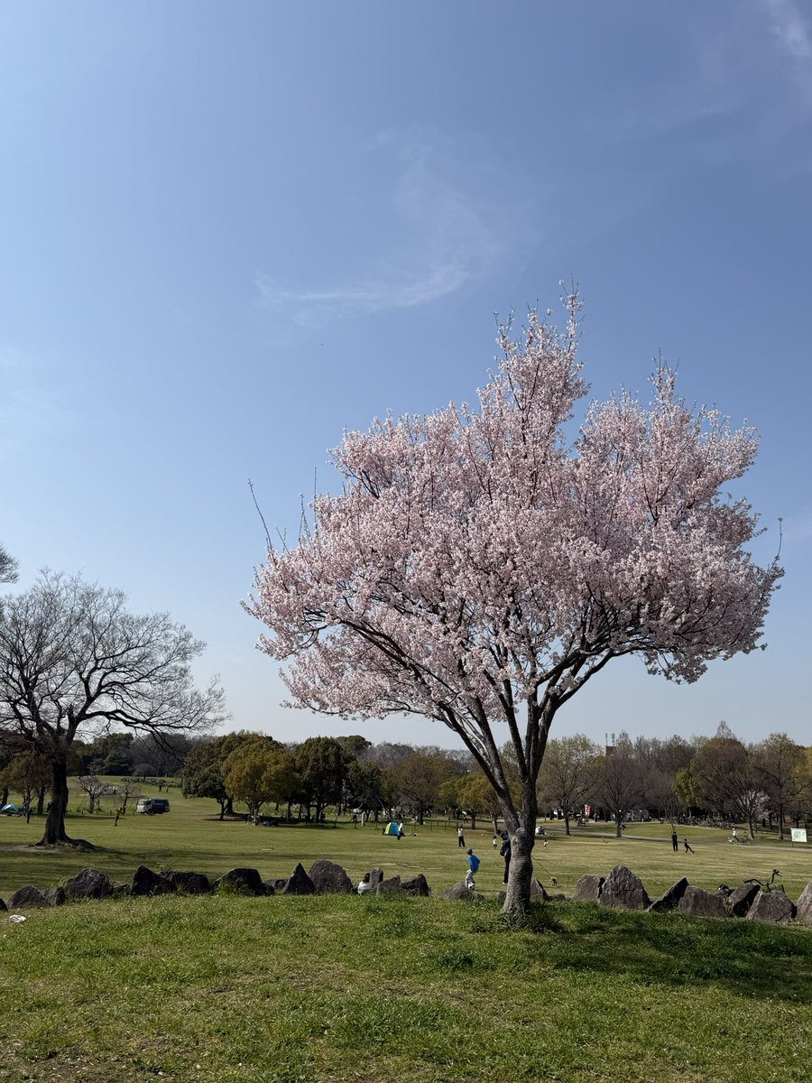 eee2いーつ👑🐃 tweet media