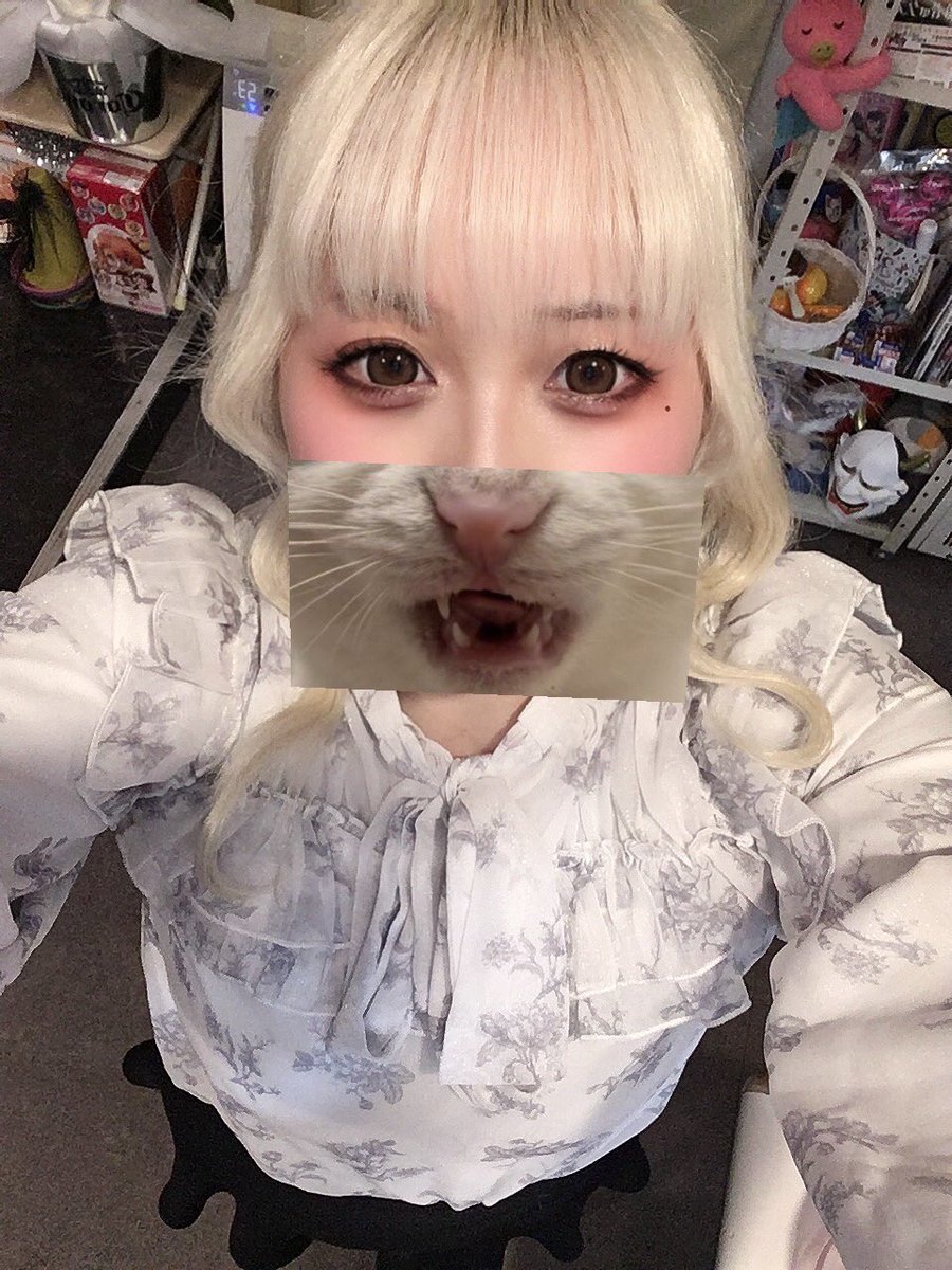 高まり研究所本店 tweet media