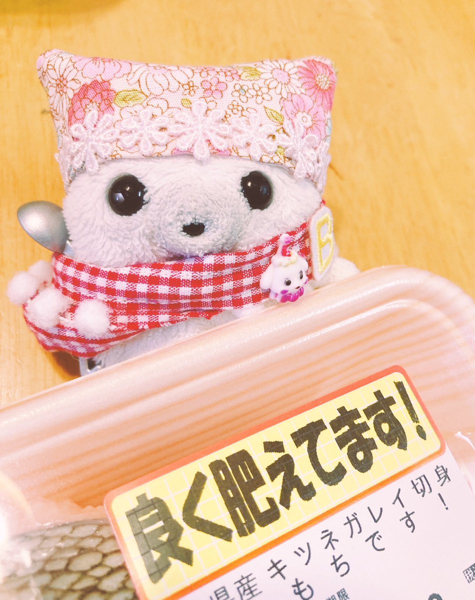 もちもいこ tweet media