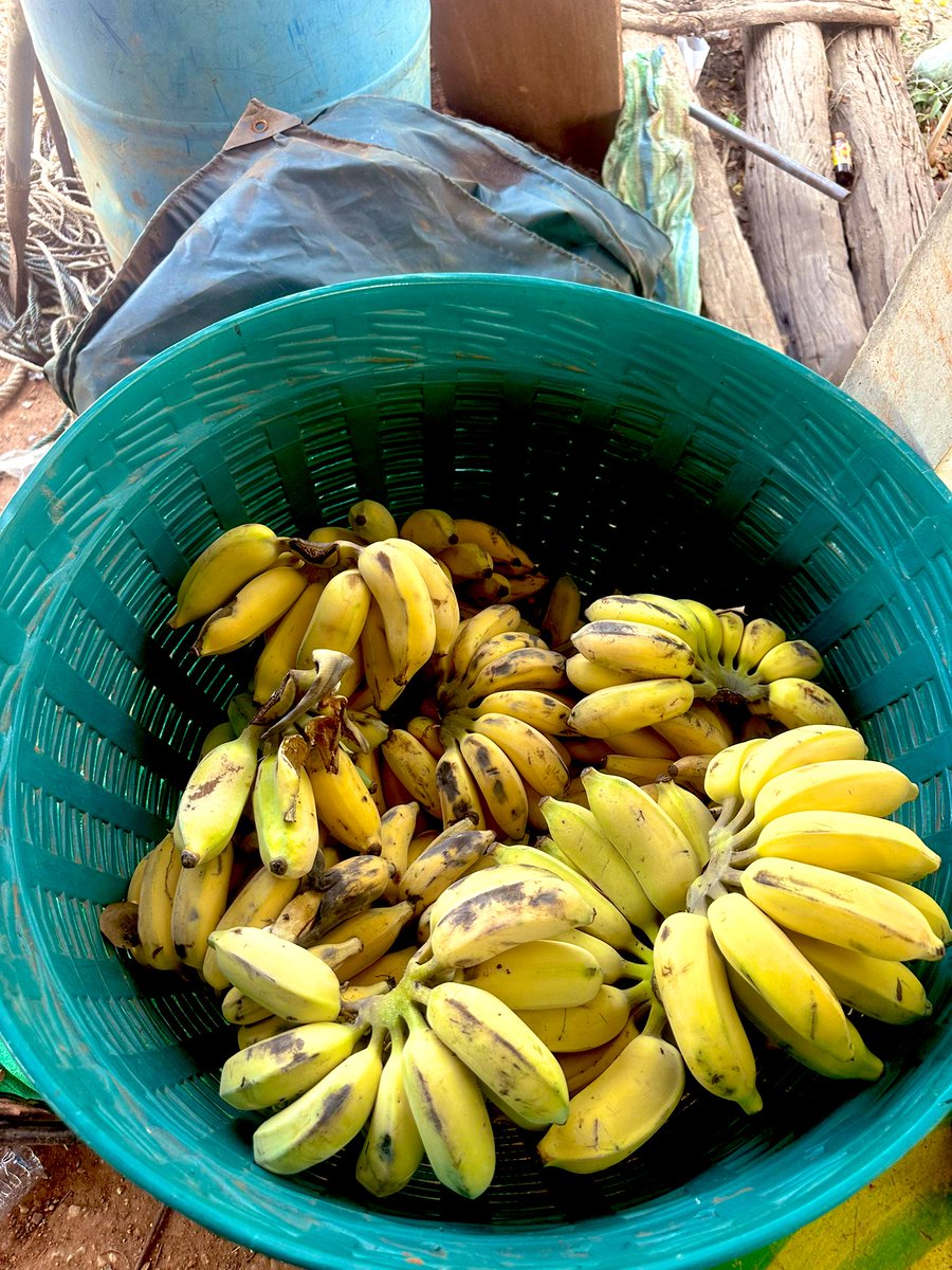 น้องช้างFamily🐘🐘🐘 tweet media