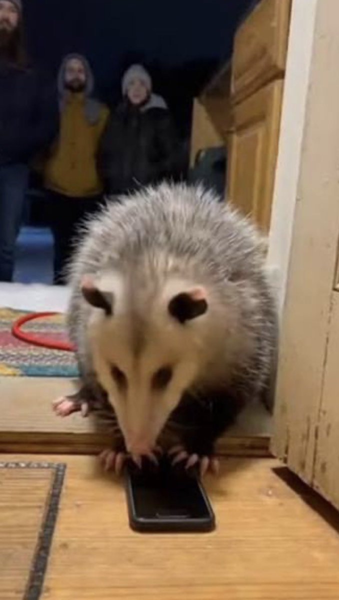 девчонка за рулём tweet media