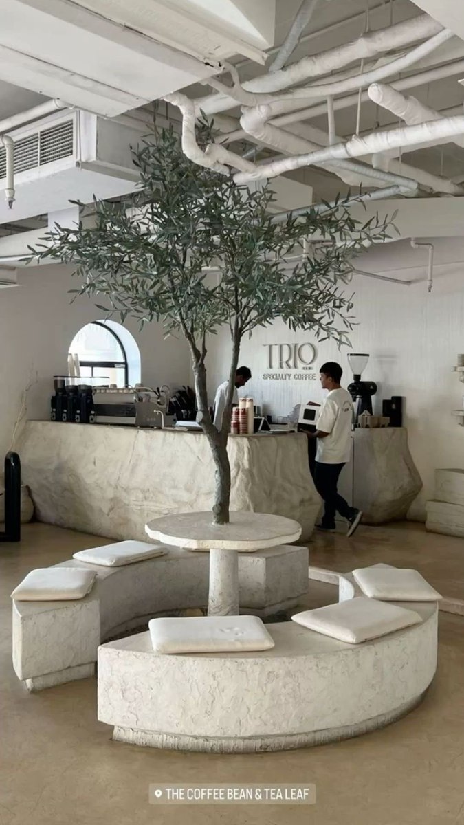 🇩🇿 tweet media