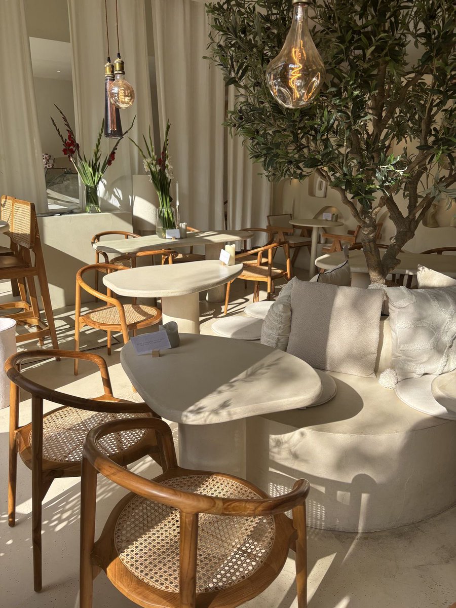 🇩🇿 tweet media