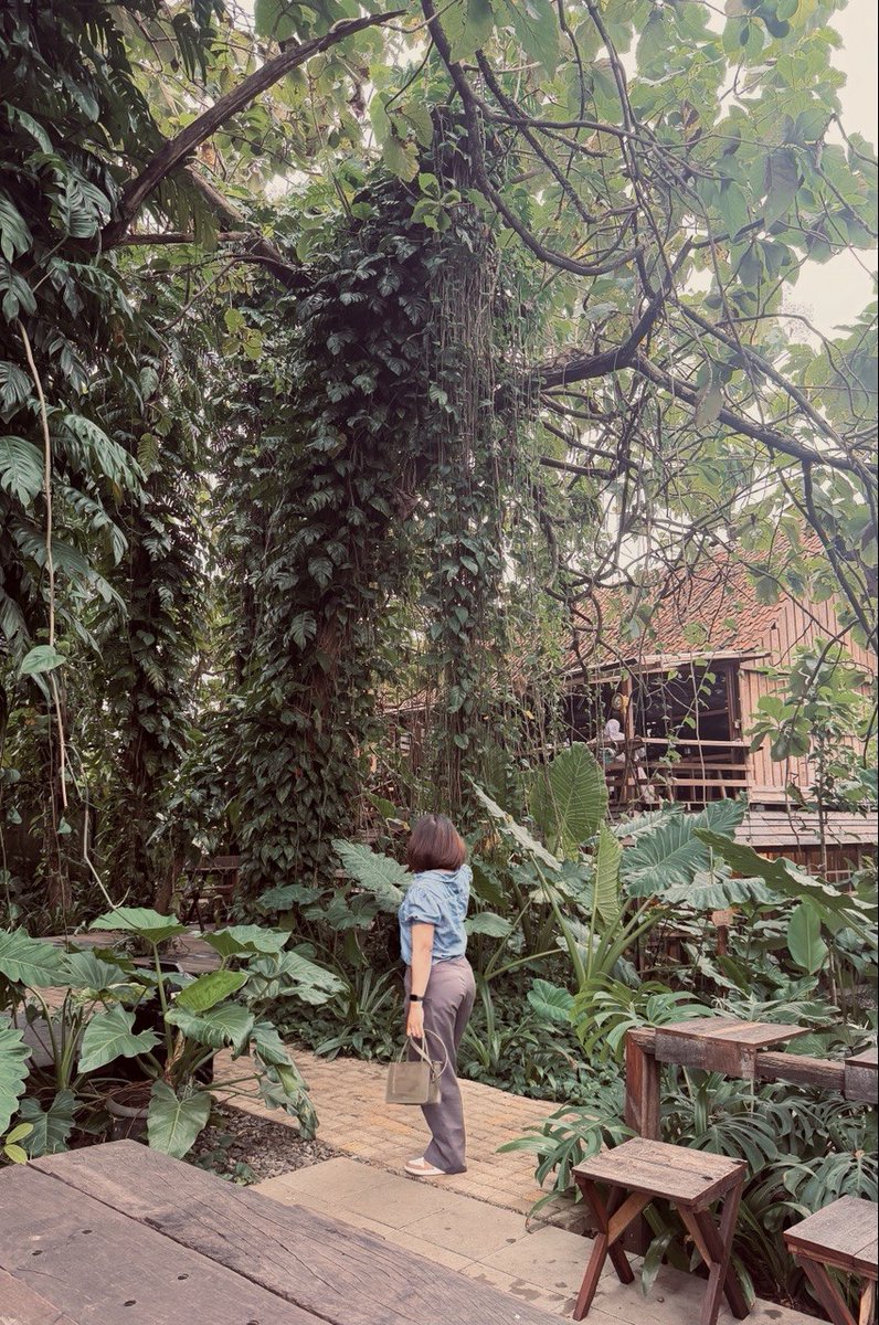 ursunshine tweet media