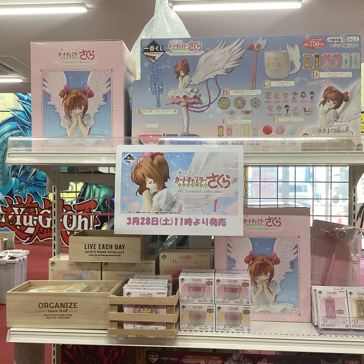 トレカチャンピオン江南店＠PayPay、メルペイ、クレジットカード（一部を除く）使えます！！ tweet media